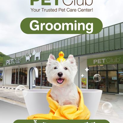 PET Club Thailand Image