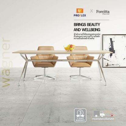 Proflex Furniture Image